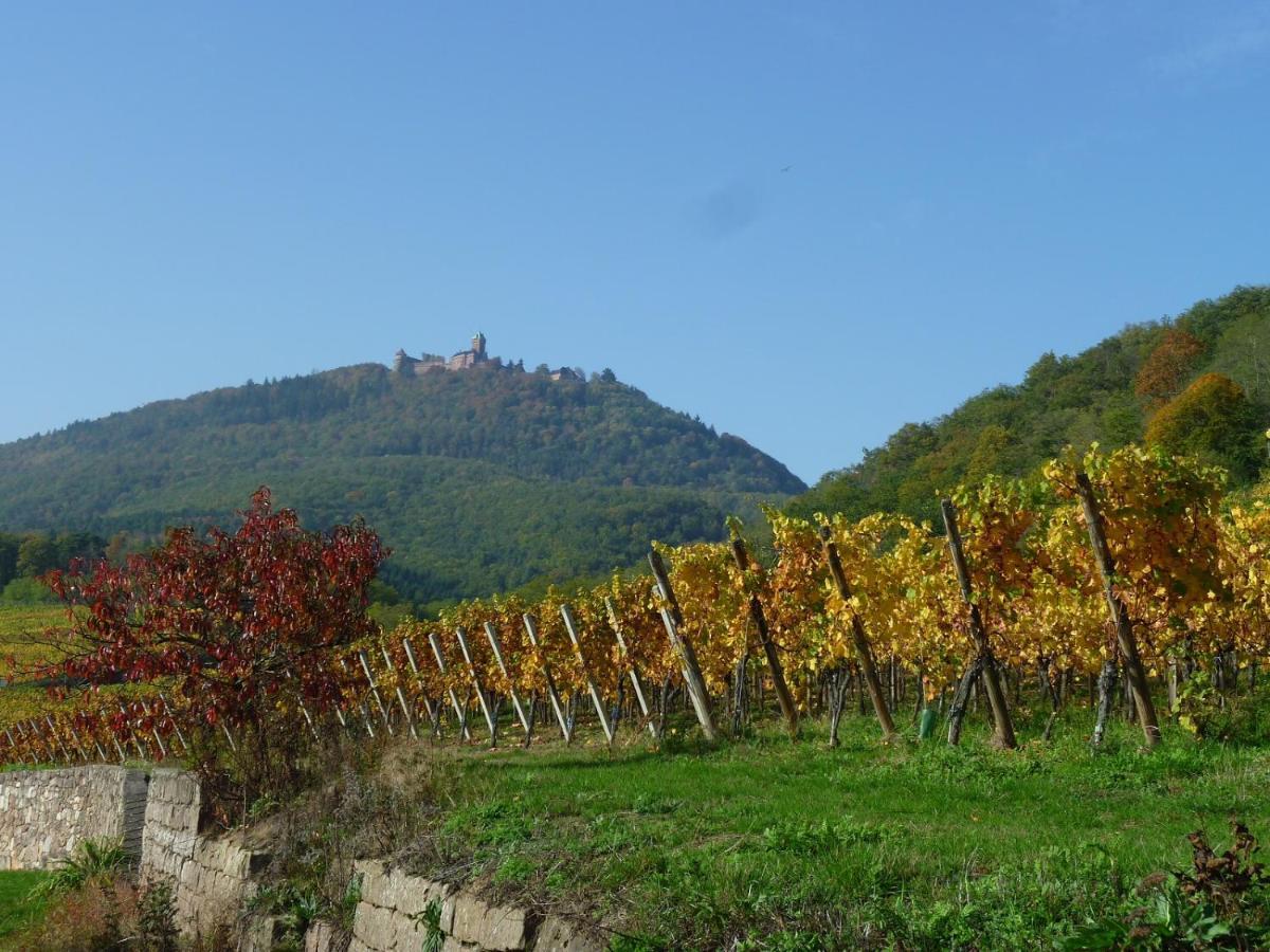 Gite D'Alsace L'Escale 오스트하임 외부 사진